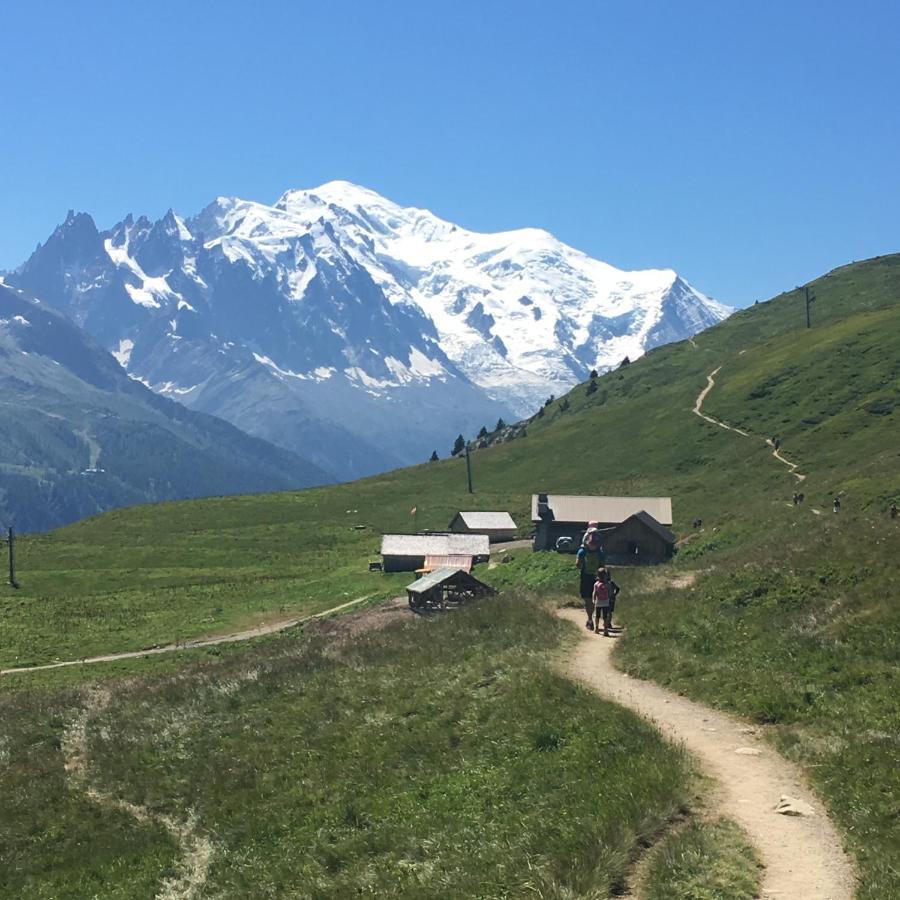 Chalet Le トリヤン エクステリア 写真