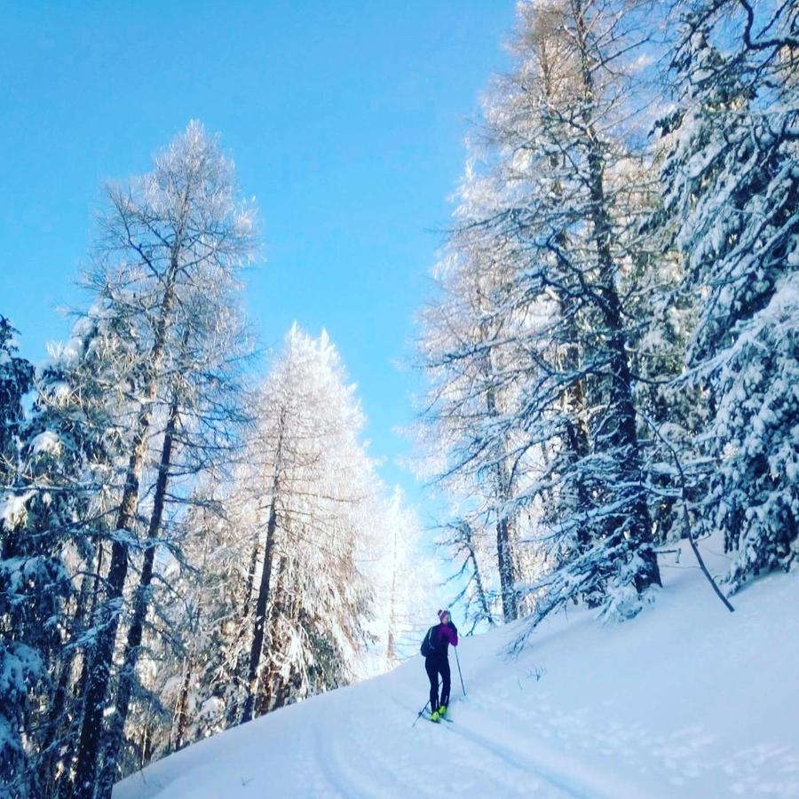 Chalet Le トリヤン エクステリア 写真