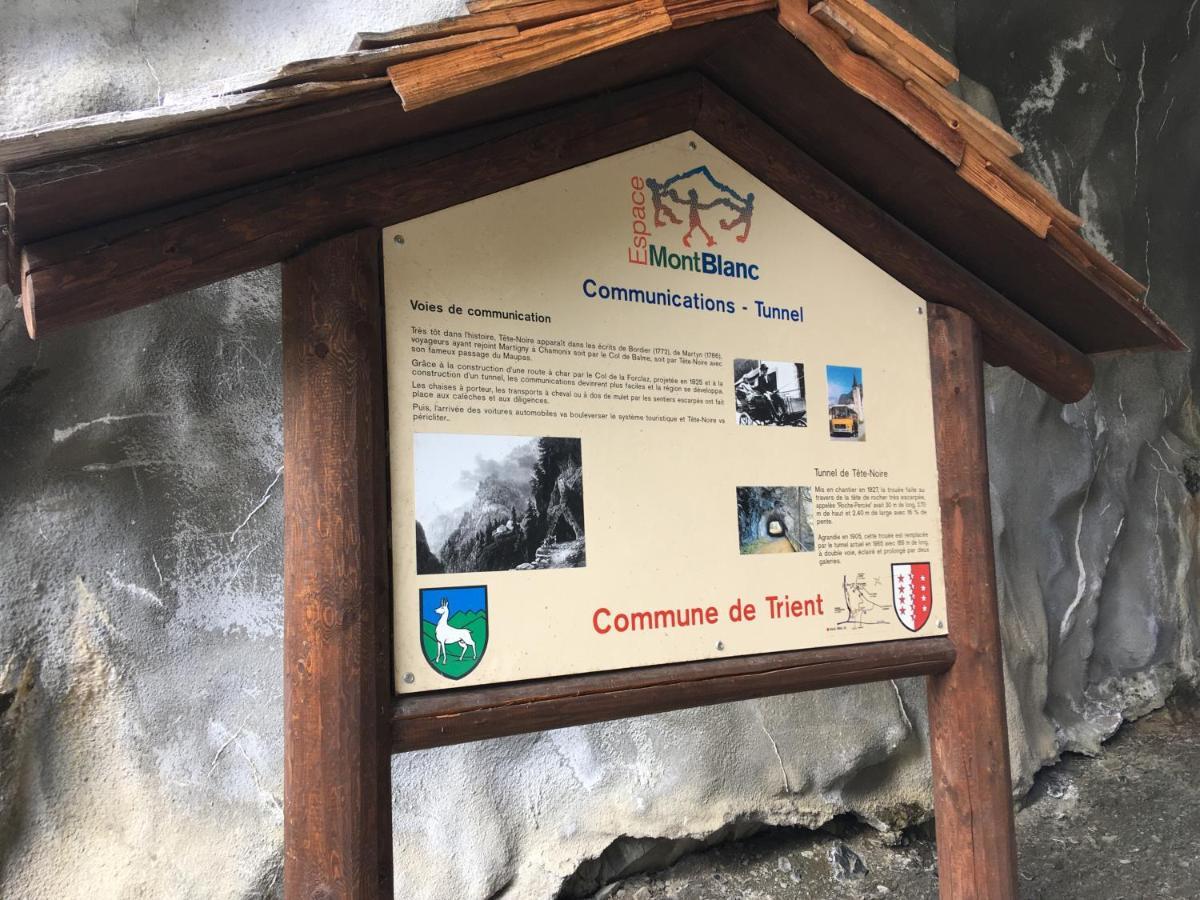 Chalet Le トリヤン エクステリア 写真